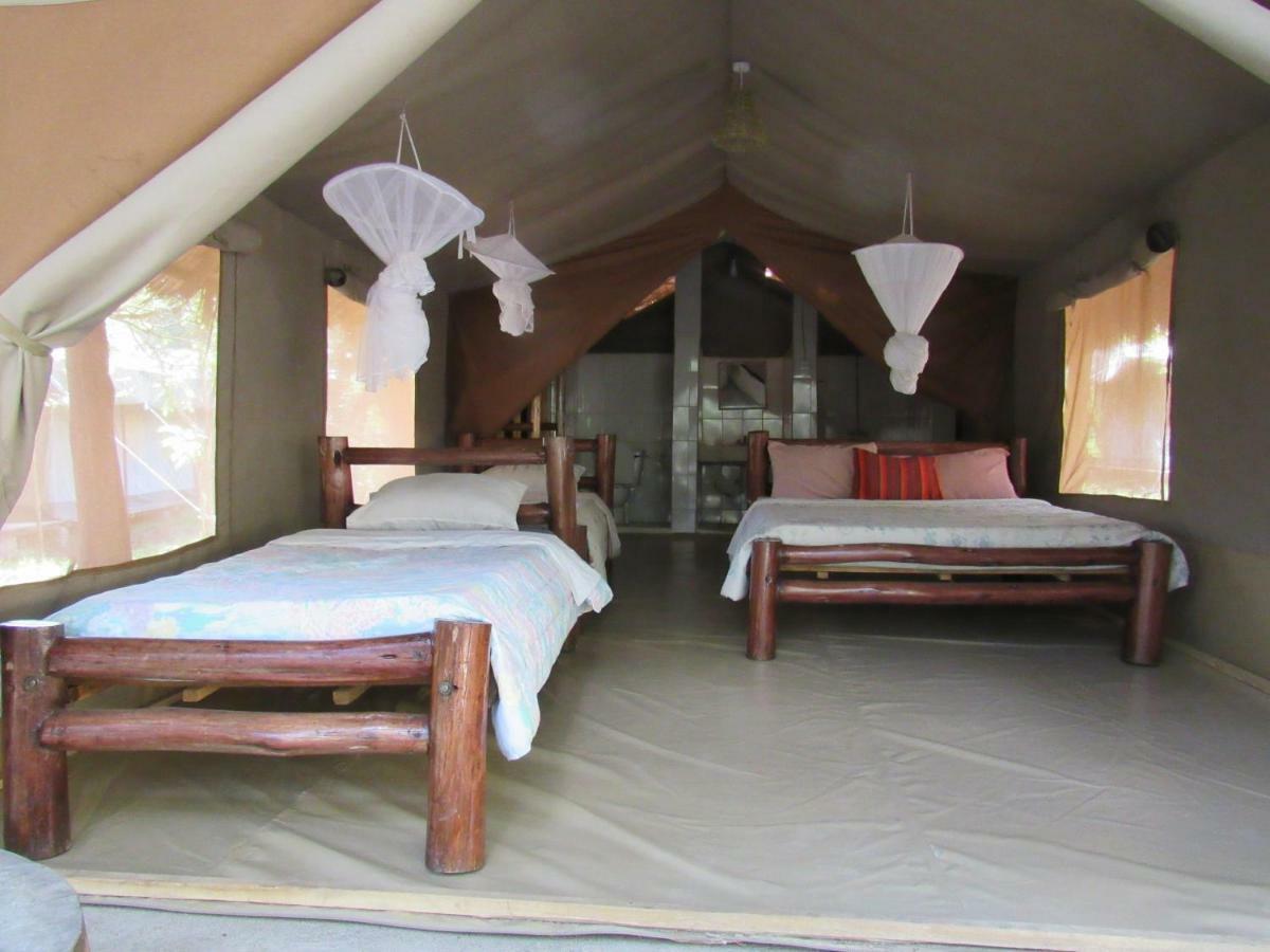 Enchoro Wildlife Camp Hotell Ololaimutiek Exteriör bild