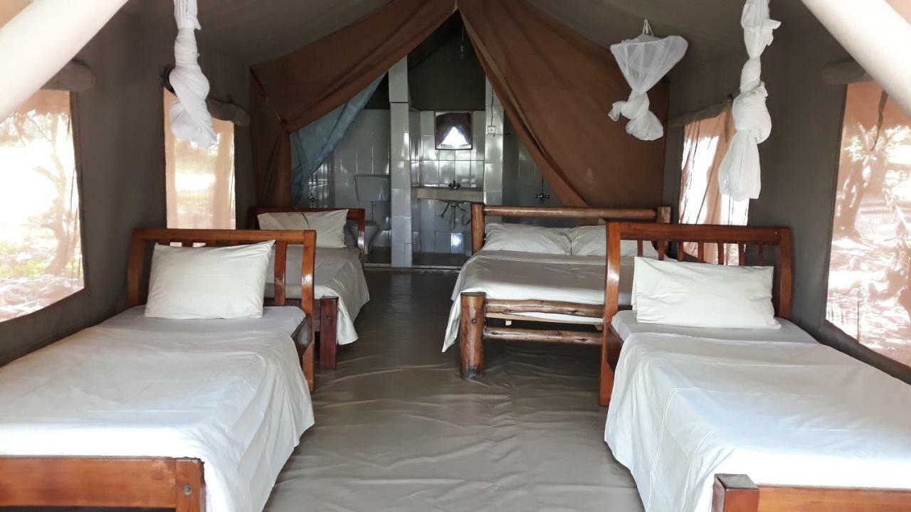 Enchoro Wildlife Camp Hotell Ololaimutiek Exteriör bild